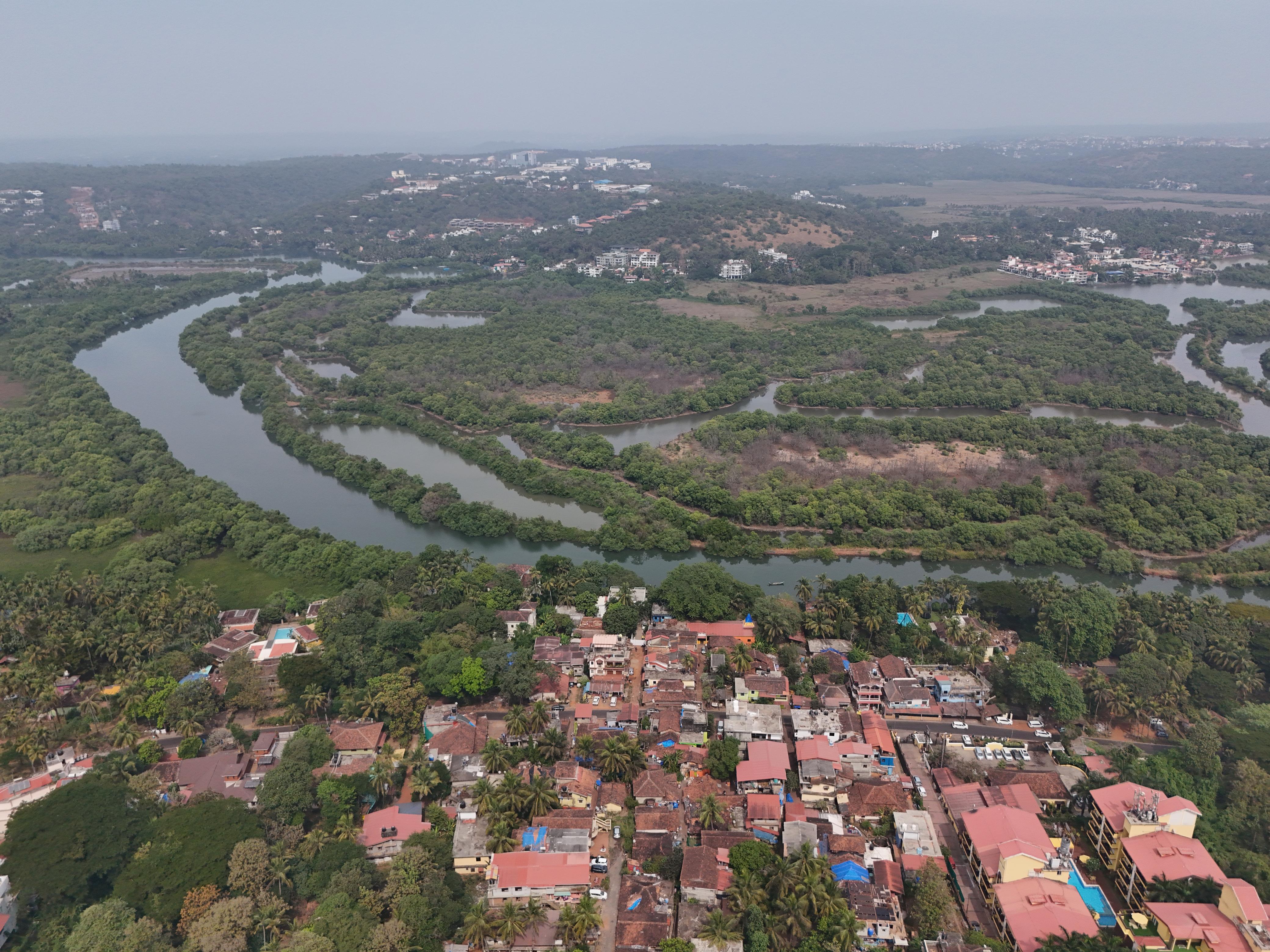 Paliem